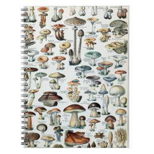 Vintag essbare Mushroom Chart Notizblock