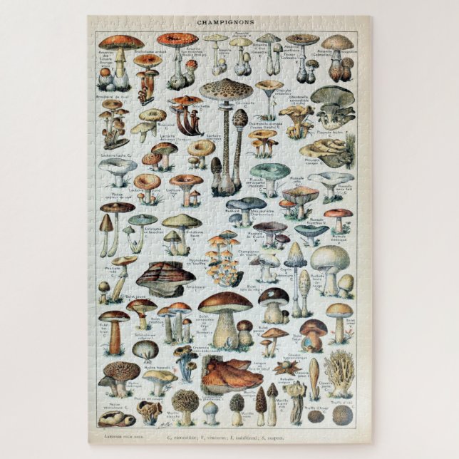 Vintag essbare Mushroom Chart Puzzle (Vertikal)
