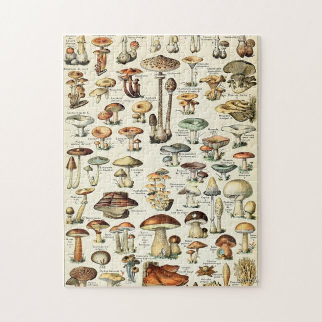 Vintag essbare Mushroom Chart Puzzle (Vertikal)