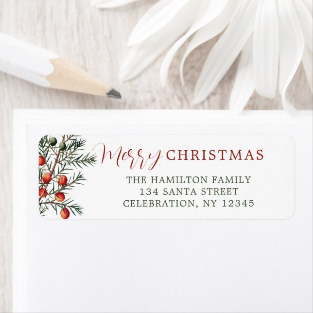 Vintag Evergreen Branch Red Berries (Insitu)