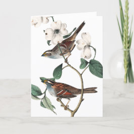 Vintag Finch und Dogwood, Muttertag Karte