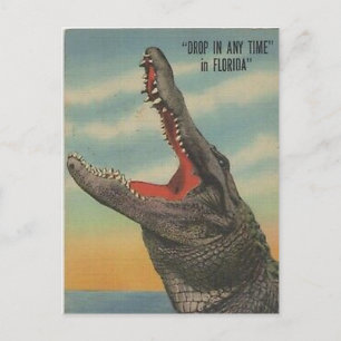 VINTAG FLORIDA ALLIGATOR POSTCARD POSTKARTE