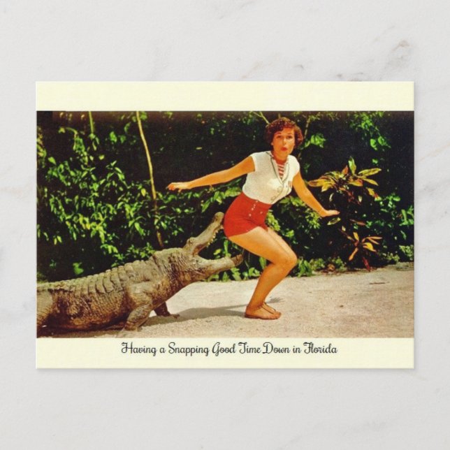 Vintag Florida Alligator Postkarte (Vorderseite)