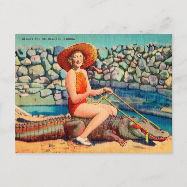 Vintag Florida Alligator und Frauenreise Postkarte (Vorderseite)