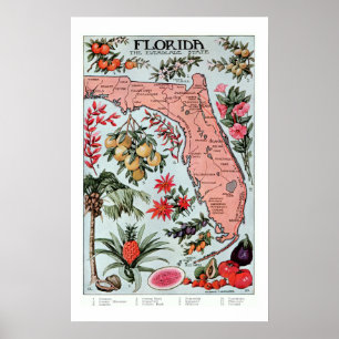 Vintag Florida Everglade Staat Obst und Blume Poster