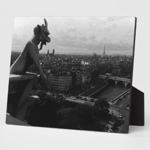 Vintag France Paris Notre Dame Kathedrale Teufel Fotoplatte