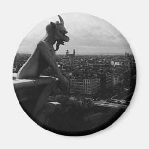Vintag France Paris Notre Dame Kathedrale Teufel Magnet