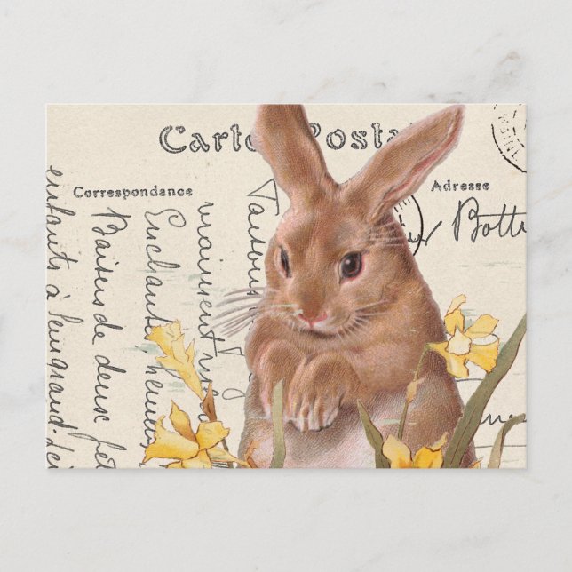 Vintag Französisch Ostern Bunny Daffodin Postkarte (Vorderseite)