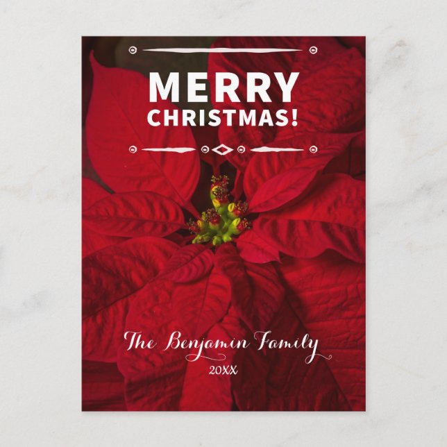 Vintag Frohe Weihnachten Red Poinsettias Custom (Vorderseite)