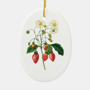 Vintag Frucht Berries Lebensmittel Erdbeeren von R Keramikornament