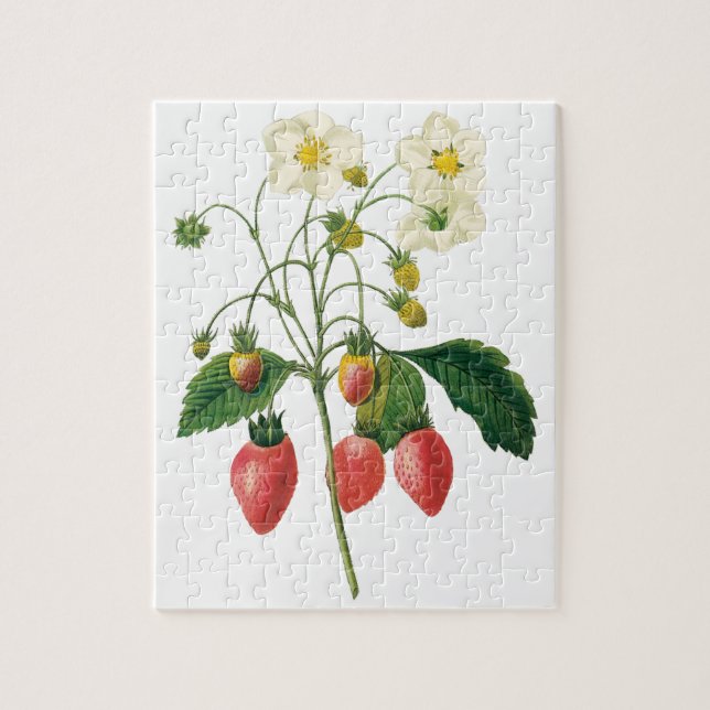Vintag Frucht Berries Lebensmittel Erdbeeren von R Puzzle (Vertikal)