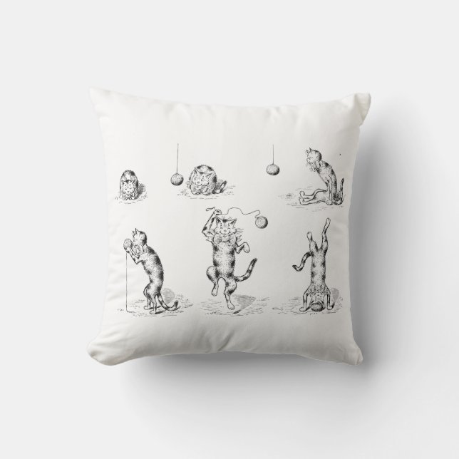 Vintag Funny Catnip Cat Kissen (Vorderseite)