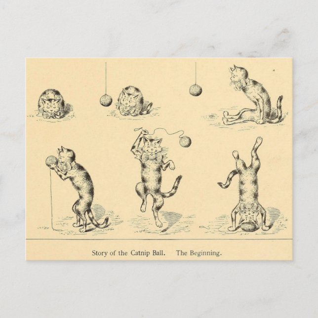 Vintag Funny Catnip Cat Postkarte (Vorderseite)