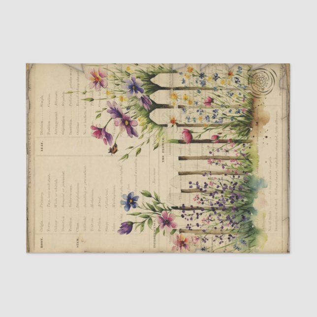 Vintag Garden Journal Seidenpapier (Vorderseite)