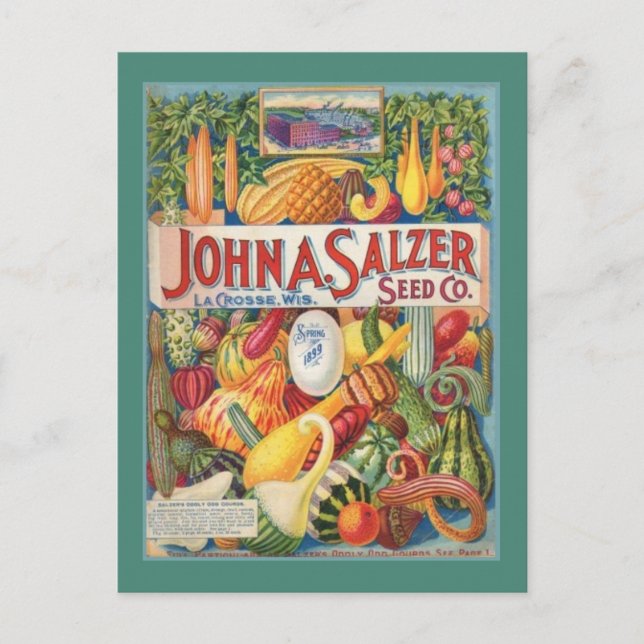 Vintag-Gartensäcke-Packkarte Postkarte (Vorderseite)