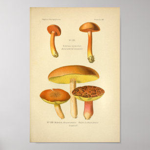 Vintag-gelb-braune Pilze Kunst, Französisch Poster