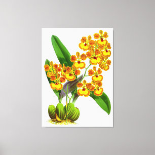 Vintag Gelborange Orchideen Blume - Canvas Print Leinwanddruck