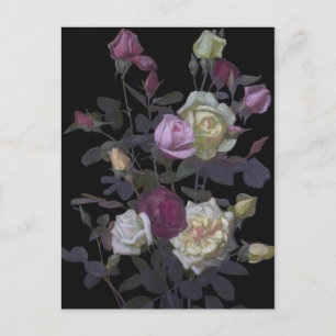 Vintag George Lambdin Still Life mit Rose Postkarte