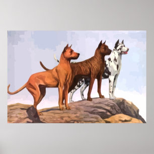 Vintag gestrichen Great Danes Poster
