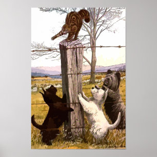 Vintag gestrichene Terrassen und Bobcat Canvas dru Poster