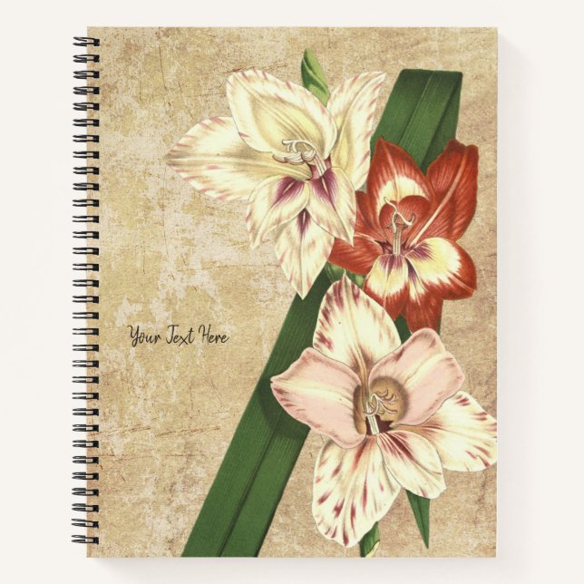 Vintag Gladioli-Notebook Notizbuch (Vorderseite)