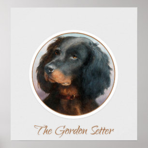 Vintag Gordon Setter Poster