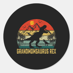 Vintag Grandmomsaurus Spaß Weihnachtsmutter Runder Aufkleber