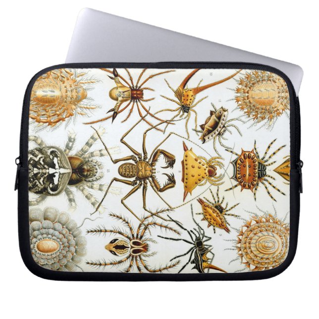 Vintag Haeckel Bugs & Spiders Laptopschutzhülle (Vorderseite)