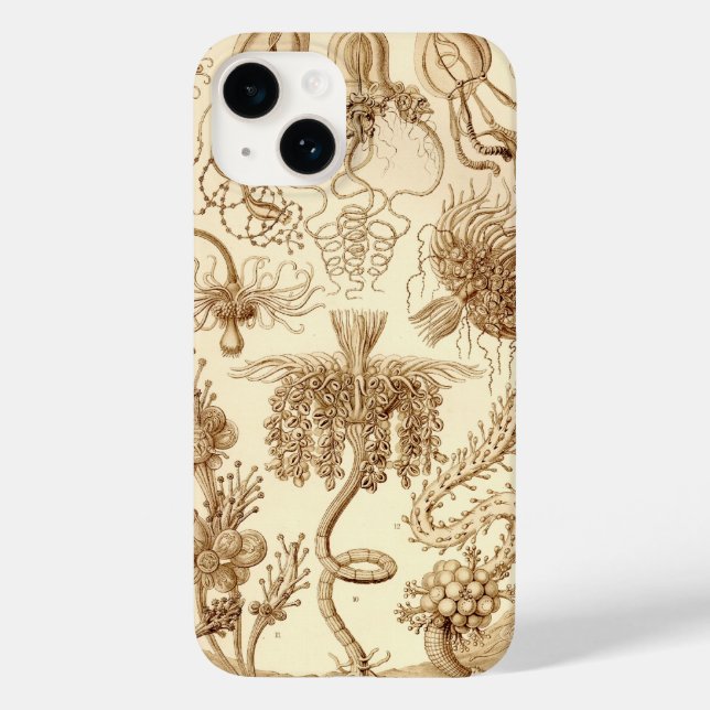 Vintag Haeckel Case-Mate iPhone Hülle (Rückseite)