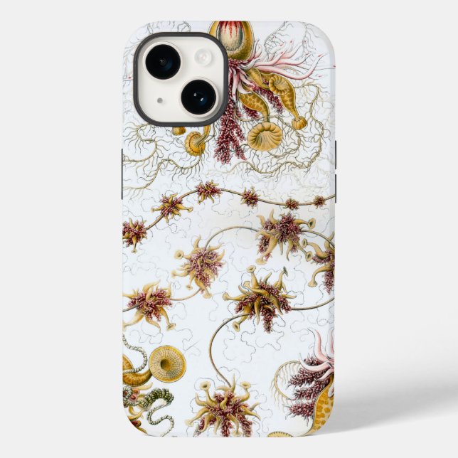 Vintag Haeckel Case-Mate iPhone Hülle (Rückseite)
