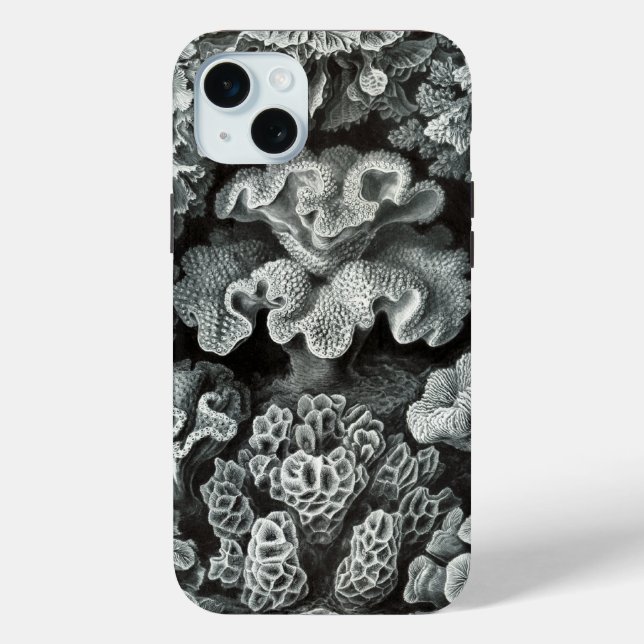 Vintag Haeckel Case-Mate iPhone Hülle (Rückseite)