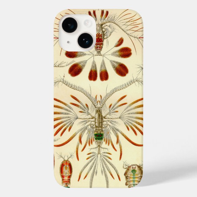 Vintag Haeckel Case-Mate iPhone Hülle (Rückseite)