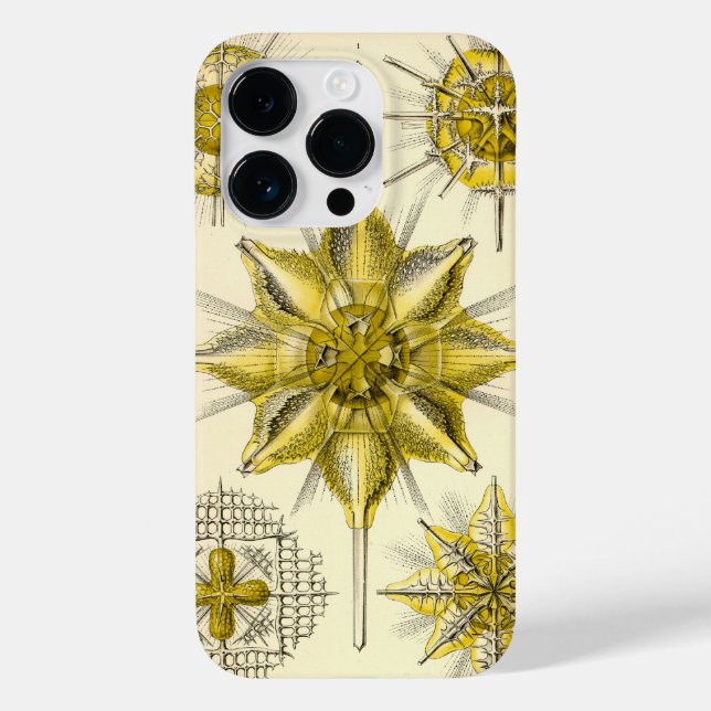 Vintag Haeckel Case-Mate iPhone Hülle (Rückseite)