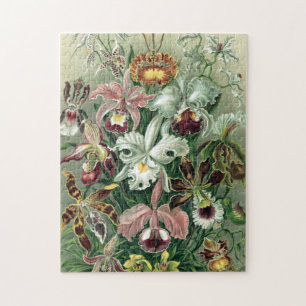 Vintag Haeckel farbiges Orchid Lithoster Puzzle