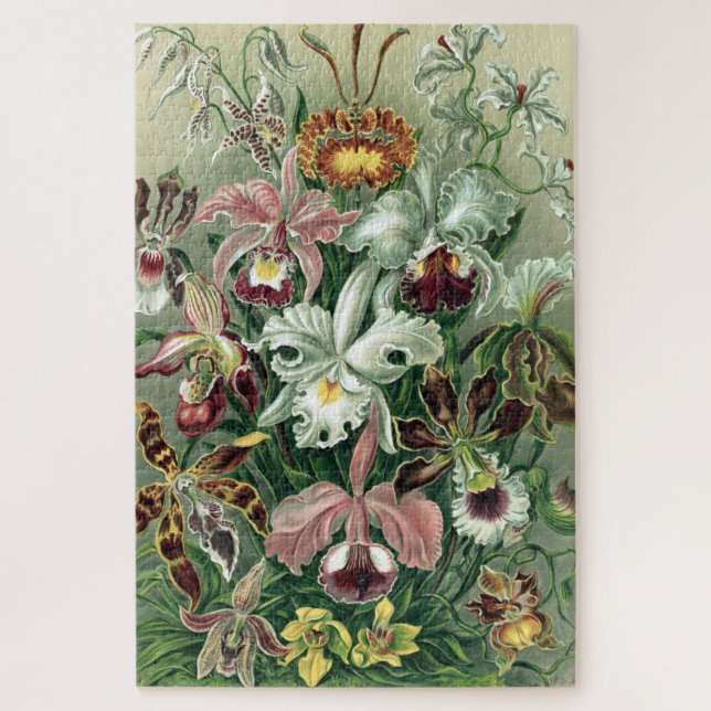 Vintag Haeckel farbiges Orchid Lithoster Puzzle (Vertikal)