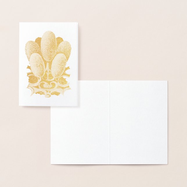 Vintag Haeckel Folienkarte (Anzeige)