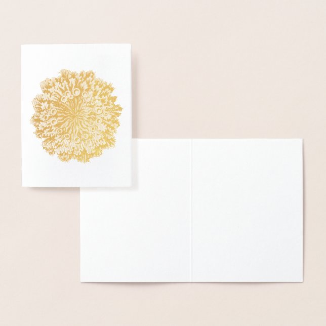 Vintag Haeckel Folienkarte (Anzeige)