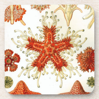 Vintag Haeckel Getränkeuntersetzer