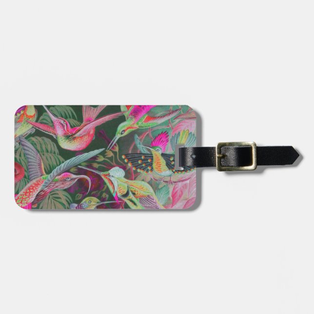 Vintag Haeckel Hummingbirds Gepäckanhänger (Vorderseite horizontal)