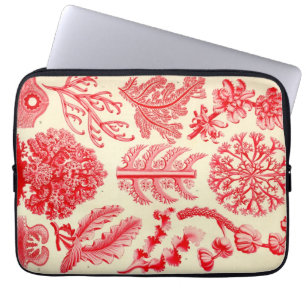 Vintag Haeckel Laptopschutzhülle