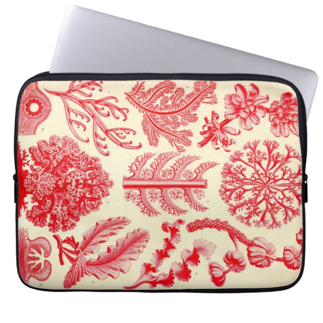 Vintag Haeckel Laptopschutzhülle (Vorderseite)