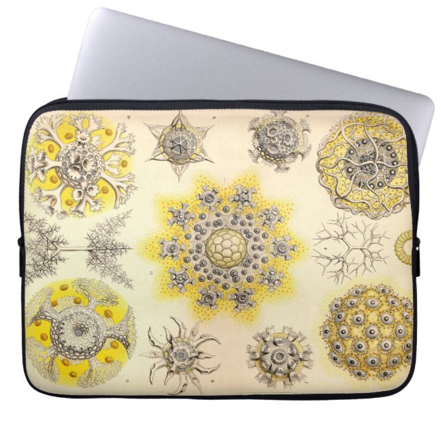 Vintag Haeckel Laptopschutzhülle (Vorderseite)