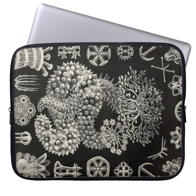 Vintag Haeckel Laptopschutzhülle (Vorderseite)