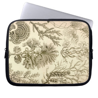 Vintag Haeckel Laptopschutzhülle