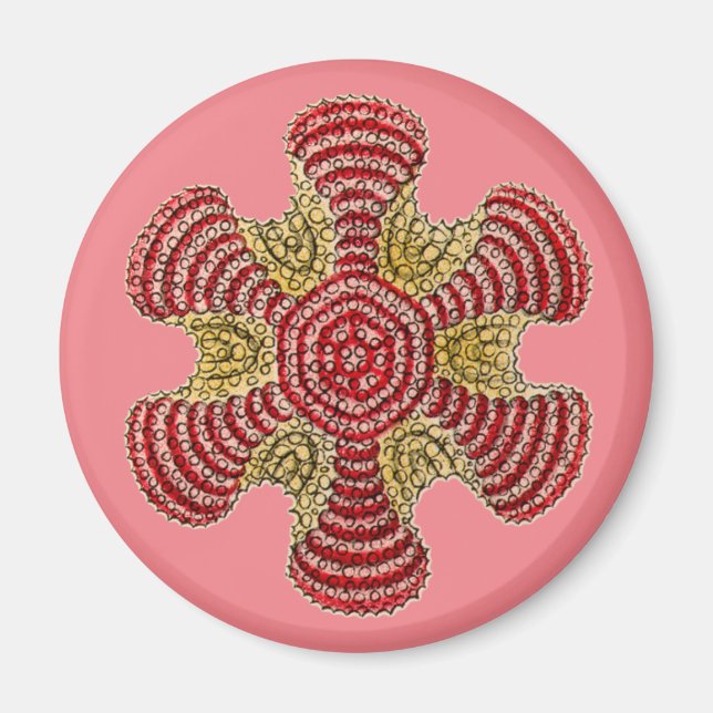 Vintag Haeckel Magnet (Vorne)