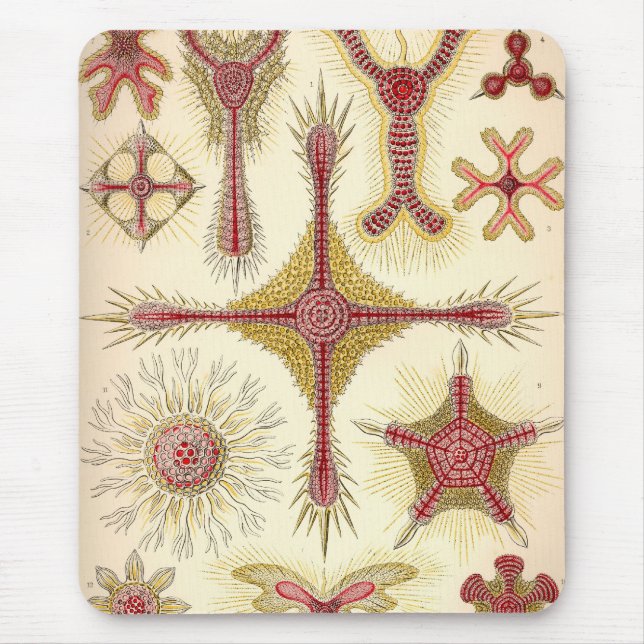 Vintag Haeckel Mousepad (Vorne)