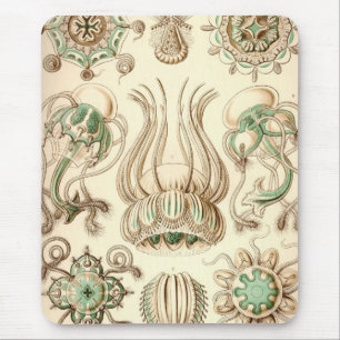 Vintag Haeckel Mousepad