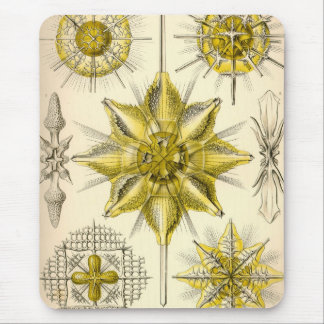 Vintag Haeckel Mousepad