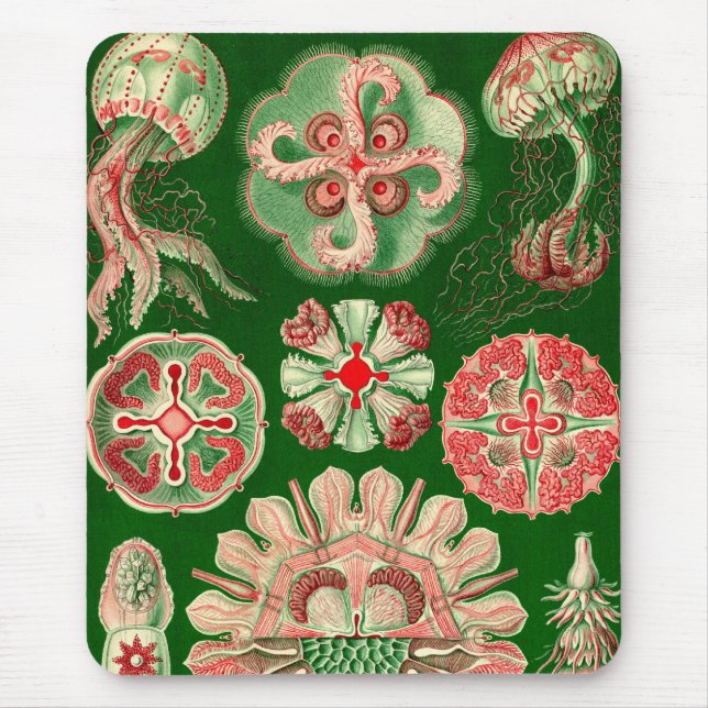 Vintag Haeckel Mousepad (Vorne)