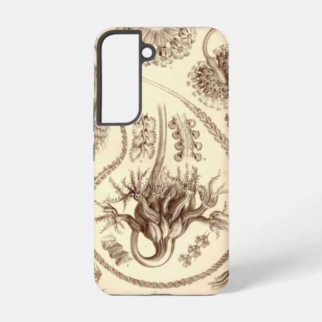 Vintag Haeckel Samsung Galaxy Hülle (Rückseite)